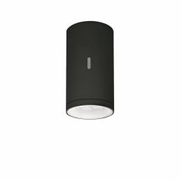 Artemide Calumet Exterior Ceiling Light