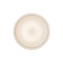 Prandina Mint LED Wall/Ceiling Light 